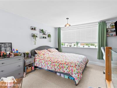 Picture 14